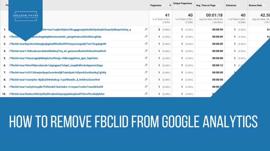 How to Remove FBCLID From Google Analytics - Sheldon Payne